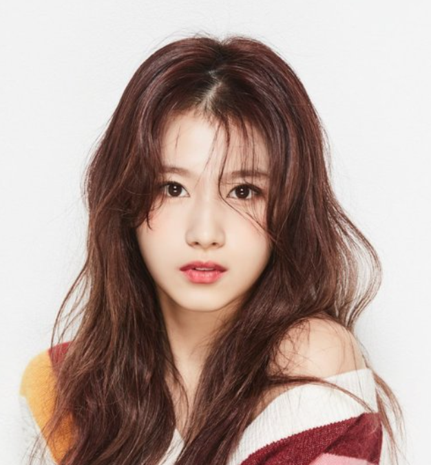 사나 (일본의 가수)