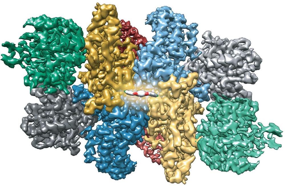 ISRIB 발견부터 임상연구 연대기