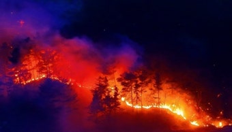 2022년 동해안 산불