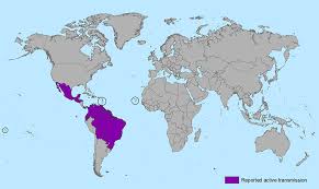 2015~2016년 지카바이러스 유행