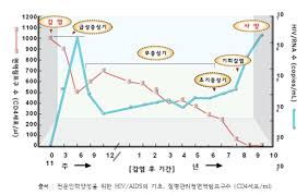 HIV와 AIDS의 역학